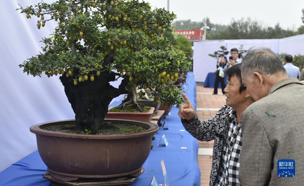 十大网赌网址排名